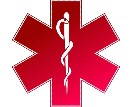 HealthyLife Logo
